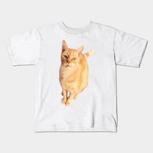 Ginger Cat Kids T-Shirt